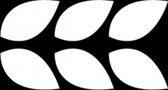 破局湾区，共赢未来！红棉花广佛肇300人大会解码“破卷”新范式